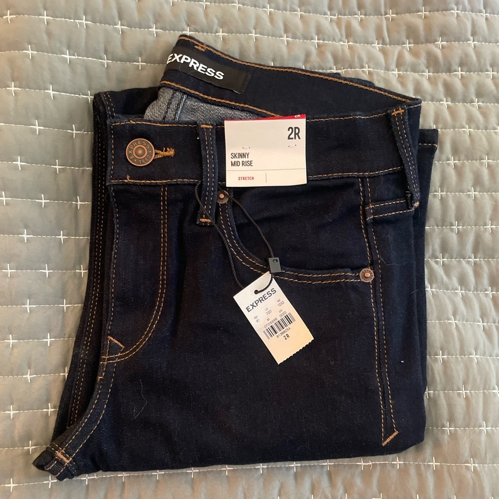 Express Dark Wash Skinny Jeans